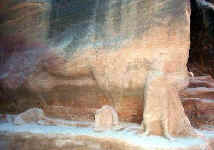 camel90.jpg (16001 bytes)
